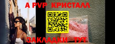 шишки Тара