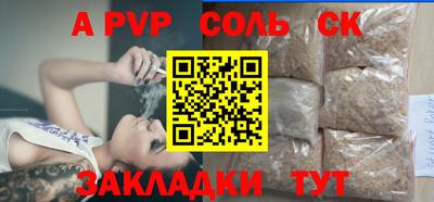 шишки Тара