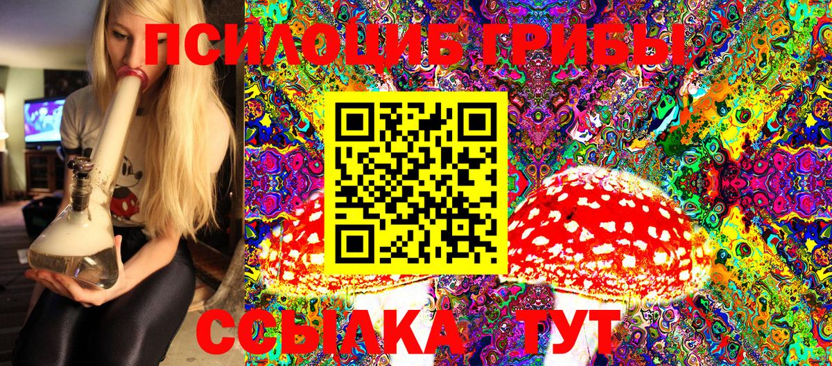 Галлюциногенные грибы Psilocybine cubensis  Галлюциногенные грибы мицелий  Вход с VPN  Можайск 