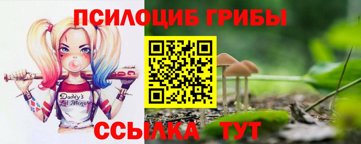 Псилоцибиновые грибы MAGIC MUSHROOMS Можайск